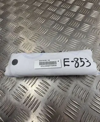 Audi e-tron Seat airbag 4K0880442G