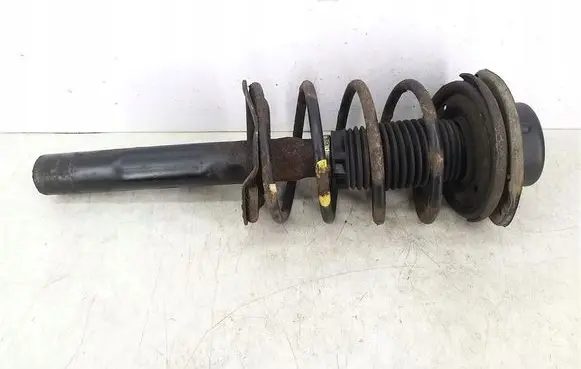 Peugeot 206+ Front shock absorber with coil spring