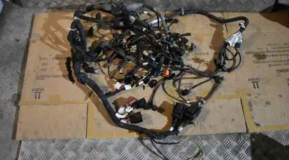 Bentley Continental Wiring harness 07C971610DJ