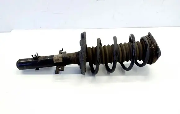 Nissan Qashqai Front shock absorber/damper 543034EA3A