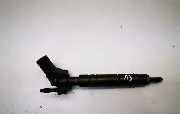 Mercedes-Benz R W251 Fuel injector A6420701387