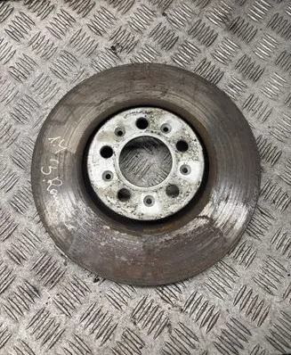 Skoda Roomster (5J) Front brake disc 