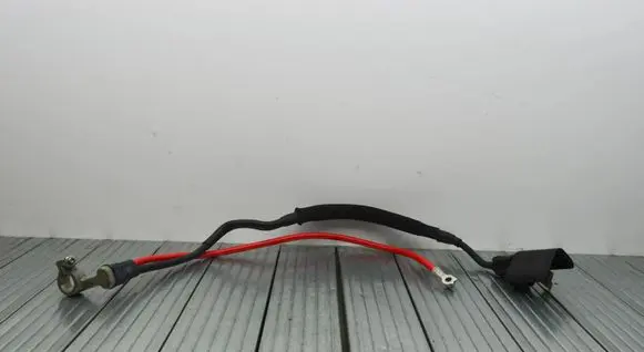 Positive wiring loom