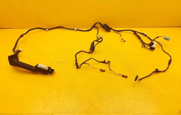 Audi A4 S4 B9 Front door wiring loom 8W0971029DK
