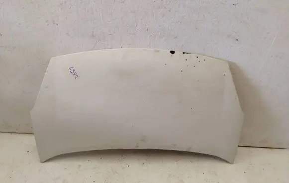 Engine bonnet/hood