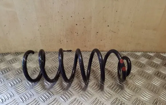 Dacia Sandero Rear coil spring