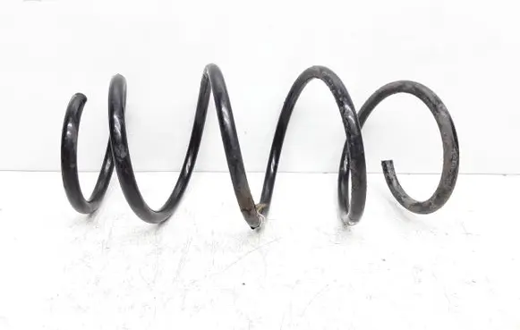 Front coil spring