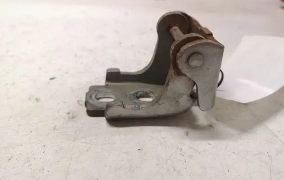Renault Scenic III - Grand scenic III Front door lower hinge 804200003RH