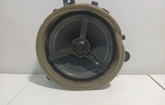 Rear door speaker