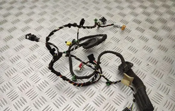 Front door wiring loom