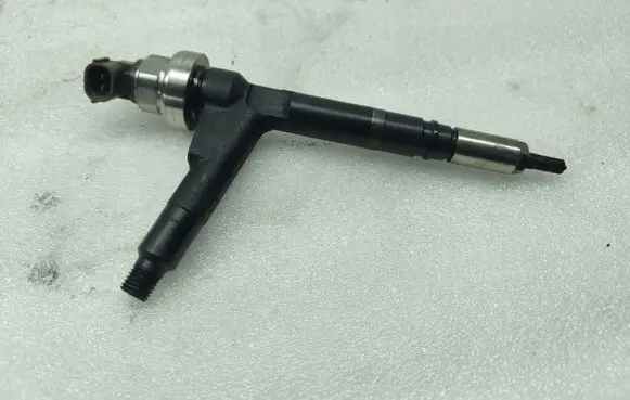 Opel Combo C Fuel injector 8973138612