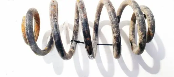 Rear coil spring