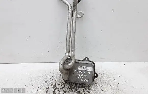 Oil filter mounting bracket