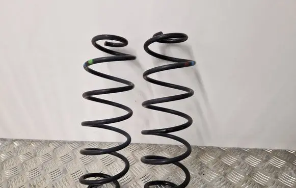 Rear coil spring