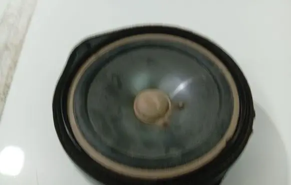 Honda Civic Front door speaker 