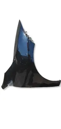Renault Megane III Fender 631000009R