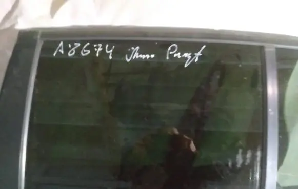 Chrysler Pacifica Rear door window glass