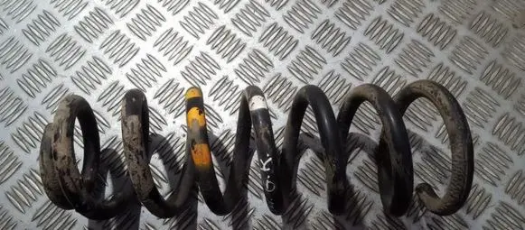 Peugeot 406 Rear coil spring