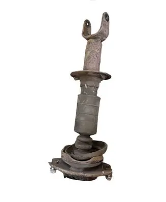 Subaru B9 Tribeca Rear shock absorber/damper 20371xa00a