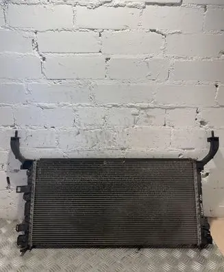 Renault Laguna III Coolant radiator 214100004R