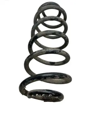 Volkswagen Golf V Rear coil spring