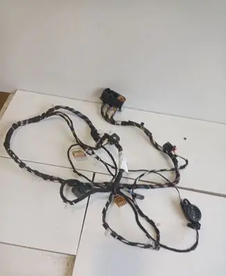 Volkswagen Atlas Rear door wiring loom 3CN971147S
