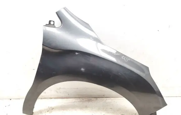 Citroen DS4 Fender