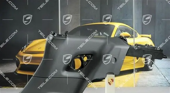 Porsche 911 991 Parcel shelf load cover 99155507224DK4