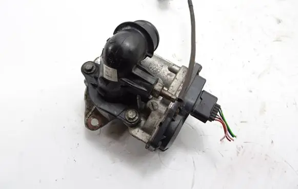 EGR valve