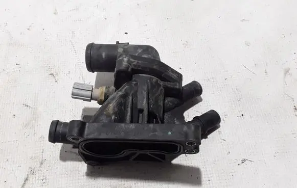 Thermostat/thermostat housing