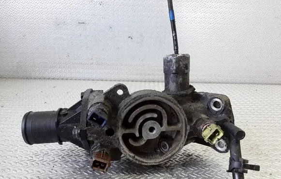 Thermostat/thermostat housing