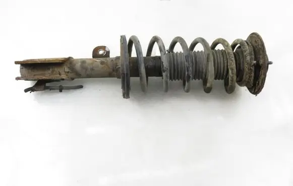 Opel Antara Front shock absorber with coil spring 96809738