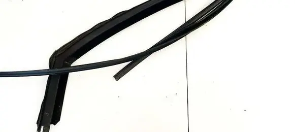 Renault Scenic II - Grand scenic II Front door glass trim molding 