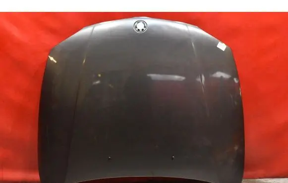 BMW 1 E81 E87 Engine bonnet/hood 