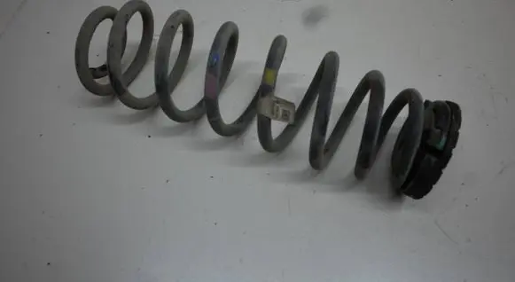 Rear coil spring