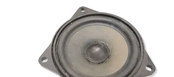 BMW 1 F20 F21 Subwoofer speaker 18820010