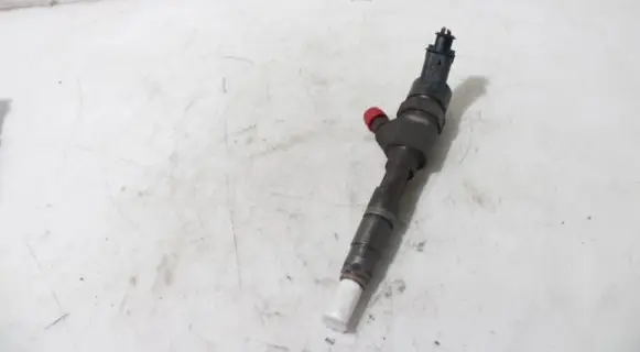 Renault Megane II Fuel injector
