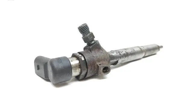 Renault Megane IV Fuel injector 8200842205