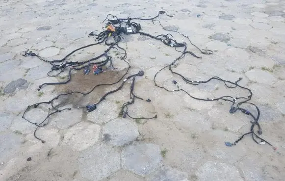 Renault Trafic III (X82) Other wiring loom