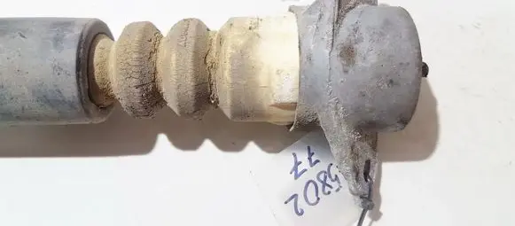 Coil spring mount
