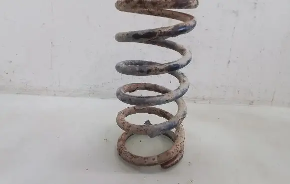 Hyundai Santa Fe Rear coil spring