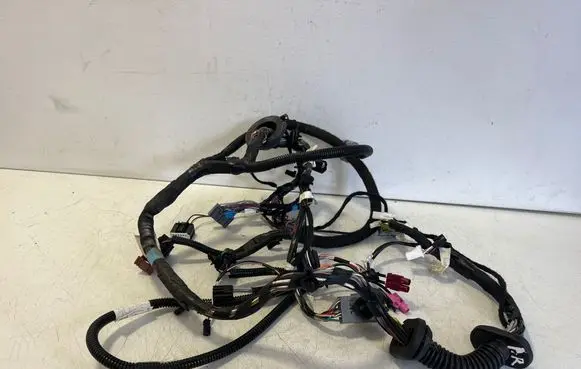 Tesla Model S Front door wiring loom 106910600B