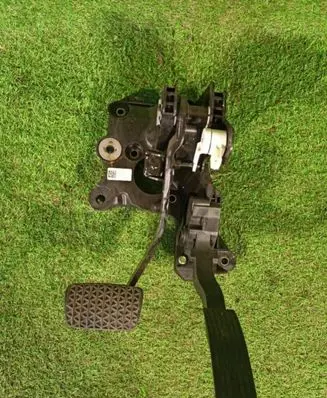 Chevrolet TrailBlazer Pedal assembly 60003920