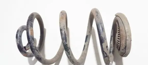 Renault Modus Rear coil spring