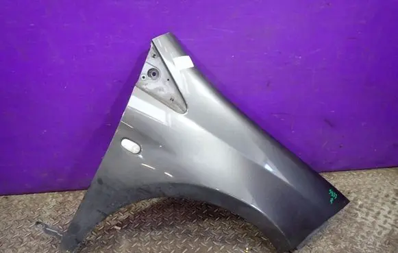 Fiat Bravo Fender