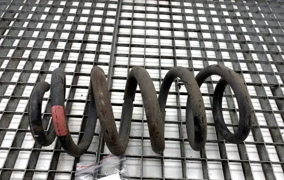 Lexus NX Rear coil spring