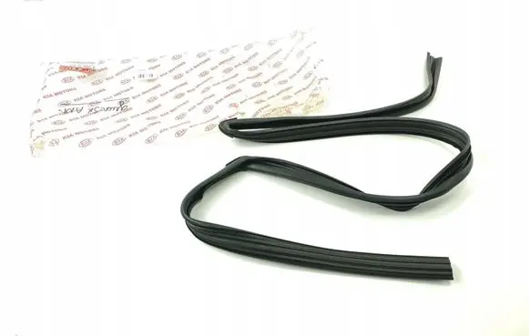 KIA Spectra Front door rubber seal 2540