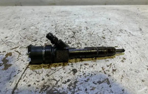 Renault Trafic II (X83) Fuel injector 0445110146