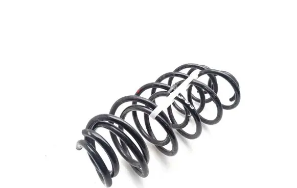 Rear coil spring