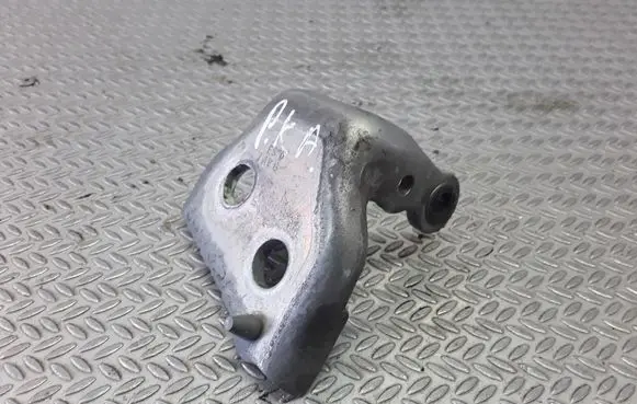 Citroen C5 Front door lower hinge 